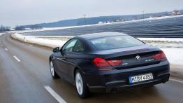 BMW Seria 6 F12-F13 Coupe 640d xDrive 313KM - widok z tyłu