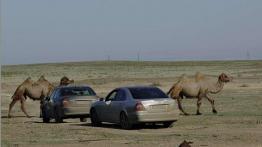 &quot;Na kropelkę&quot; przez pół świata