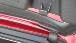 Funkcjonalny konserwatysta