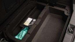 W ślady większego brata