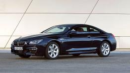 BMW Seria 6 F12-F13 Coupe 640d xDrive 313KM - prawy bok