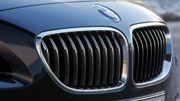 BMW Seria 6 F12-F13 Coupe 640d xDrive 313KM - grill