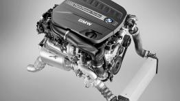 BMW Seria 6 F12-F13 Coupe 640d xDrive 313KM - silnik solo