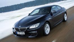BMW Seria 6 F12-F13 Coupe 640d xDrive 313KM - widok z przodu