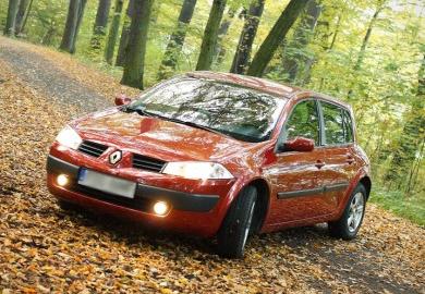 brzydkie kaczątko :)