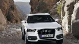 Audi Q3 - Mniejszy wymiar kompaktu