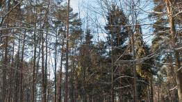 Mitsubishi ASX - tam, gdzie nie rządzą kompakty