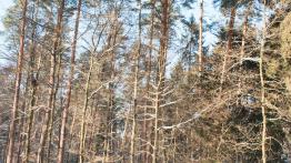 Mitsubishi ASX - tam, gdzie nie rządzą kompakty