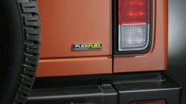 Hummer H2 - kolos dla celebryty