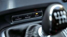 Ford Mondeo - zmieszany, nie wstrząśnięty