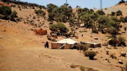 Ekspedycja IV Kongo: Do serca Afryki dzień po dniu!