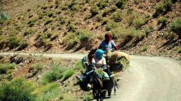 Ekspedycja IV Kongo: Do serca Afryki dzień po dniu!