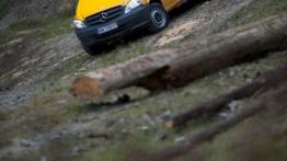 Dostawcze Mercedesy 4Matic w Krynicy-Zdroju