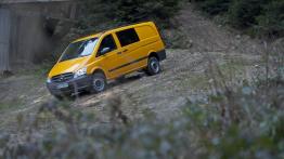 Dostawcze Mercedesy 4Matic w Krynicy-Zdroju