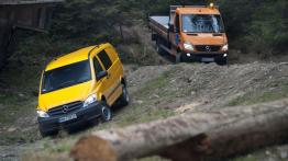 Dostawcze Mercedesy 4Matic w Krynicy-Zdroju