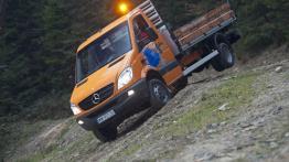 Dostawcze Mercedesy 4Matic w Krynicy-Zdroju