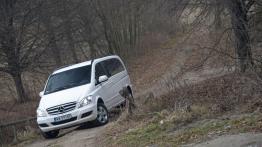 Dostawcze Mercedesy 4Matic w Krynicy-Zdroju