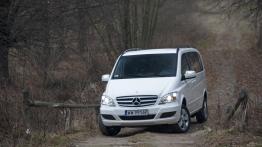 Dostawcze Mercedesy 4Matic w Krynicy-Zdroju