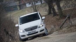 Dostawcze Mercedesy 4Matic w Krynicy-Zdroju
