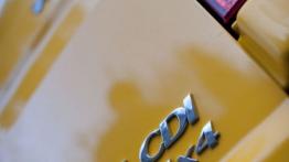 Dostawcze Mercedesy 4Matic w Krynicy-Zdroju