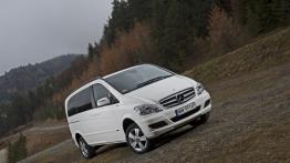 Dostawcze Mercedesy 4Matic w Krynicy-Zdroju