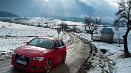 Audi A3 8V Sportback w Krynicy-Zdroju - widok z przodu