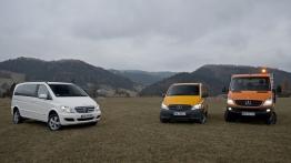 Dostawcze Mercedesy 4Matic w Krynicy-Zdroju