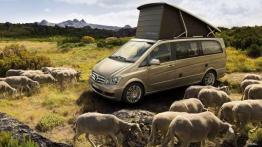 Co nowego ma Mercedes Viano po faceliftingu?