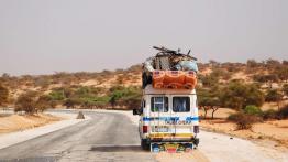 Ekspedycja IV Kongo: Do serca Afryki dzień po dniu!