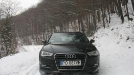Audi A3 8V Sportback w Krynicy-Zdroju - widok z przodu