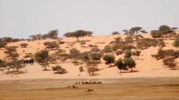 Ekspedycja IV Kongo: Do serca Afryki dzień po dniu!