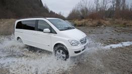 Dostawcze Mercedesy 4Matic w Krynicy-Zdroju