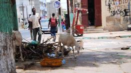 Ekspedycja IV Kongo: Do serca Afryki dzień po dniu!