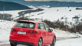 Audi A3 8V Sportback w Krynicy-Zdroju - widok z tyłu