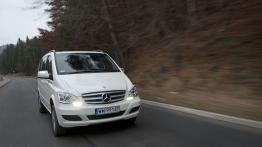 Dostawcze Mercedesy 4Matic w Krynicy-Zdroju