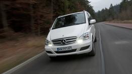 Dostawcze Mercedesy 4Matic w Krynicy-Zdroju