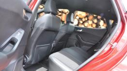 Ford Fiesta Active – w trekingowym ubraniu