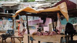 Ekspedycja IV Kongo: Do serca Afryki dzień po dniu!