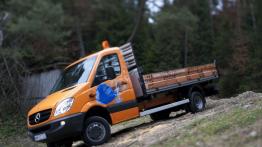 Dostawcze Mercedesy 4Matic w Krynicy-Zdroju