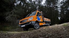 Dostawcze Mercedesy 4Matic w Krynicy-Zdroju