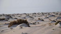 Ekspedycja IV Kongo: Do serca Afryki dzień po dniu!