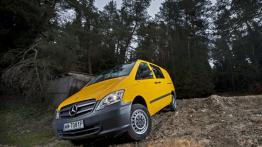 Dostawcze Mercedesy 4Matic w Krynicy-Zdroju