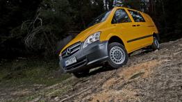 Dostawcze Mercedesy 4Matic w Krynicy-Zdroju