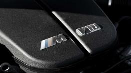 BMW M6 - ostatni dinozaur