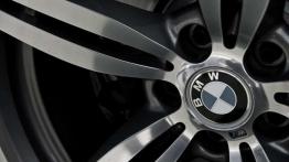 BMW M6 - ostatni dinozaur