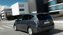 Toyota Prius Plus - widok z tyłu
