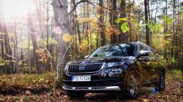 Skoda Kodiaq I Scout