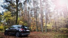 Skoda Kodiaq I Scout