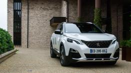 Peugeot 3008 – (nie)tylko miastowy SUV?