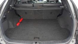 Lexus RX350 F-Sport - sportowy SUV?